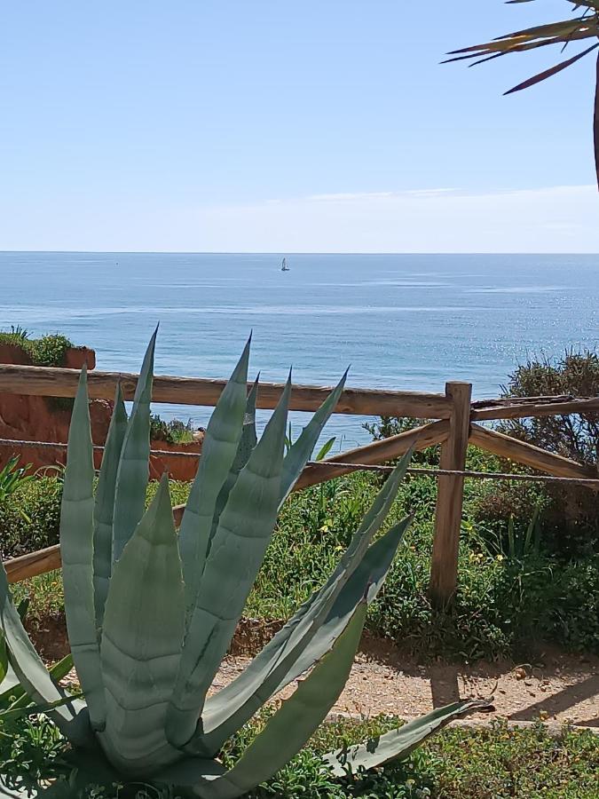 Mar A Vista Algarve Summer Portimão Exteriör bild